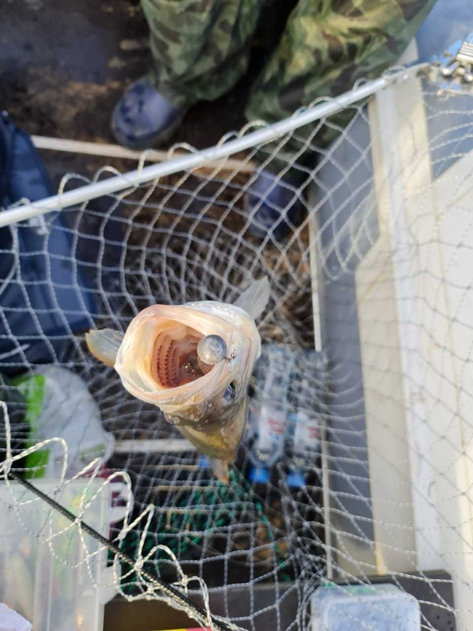 Фото Банный Остров