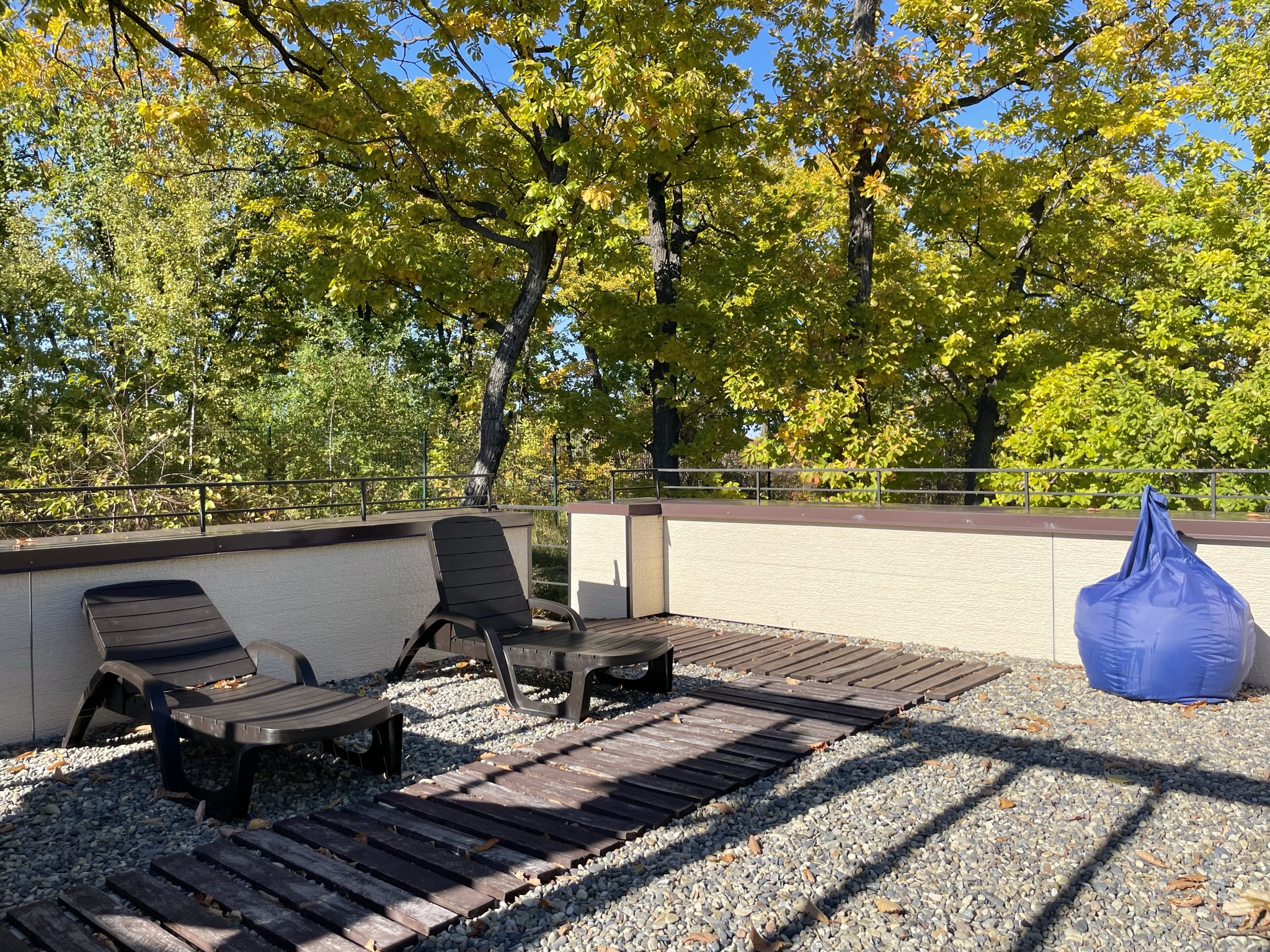 Фото Главный