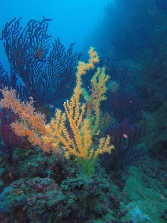 Фото La Villa Del Patrizio