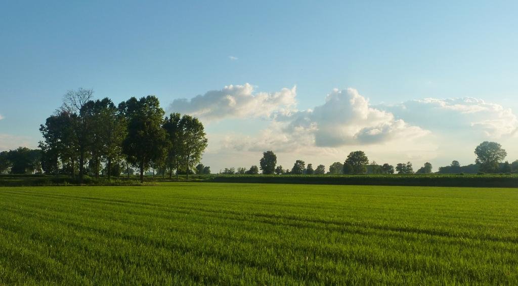 Фото La Casa di Tela