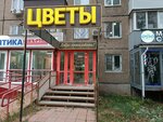 SofiFlora (Soldatova Street, 28) ، محل زهور