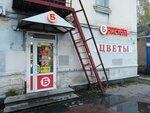 Цветы (Geroya Ryabtseva Street, 16), flower shop