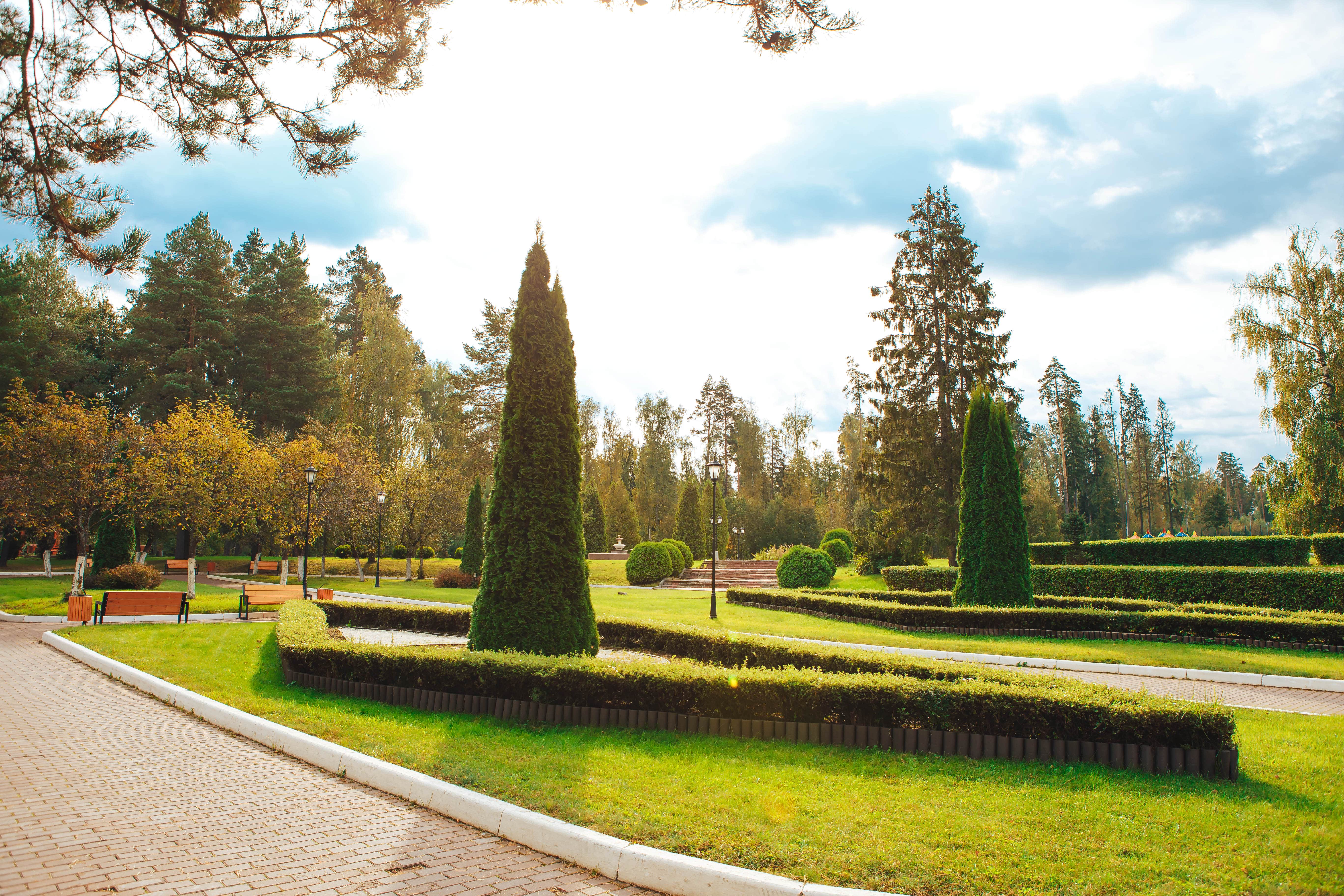 Фото Санаторий работников органов прокуратуры РФ Истра