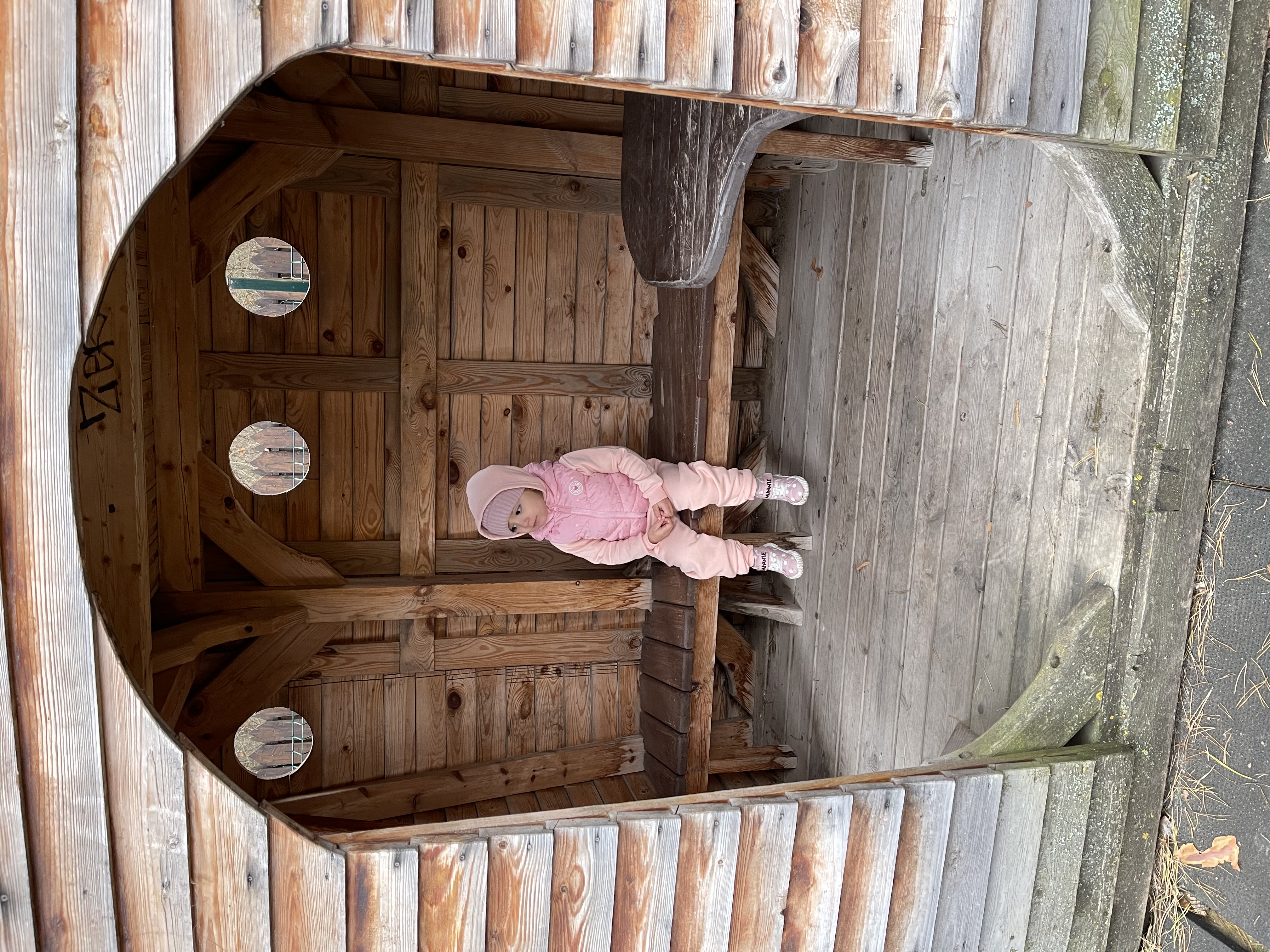 Фото Сосновый Бор