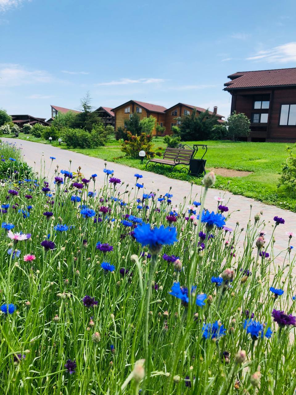 Фото Венеция на Каспии