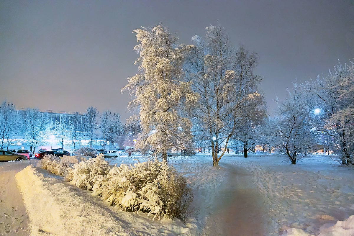 Фото МашБах