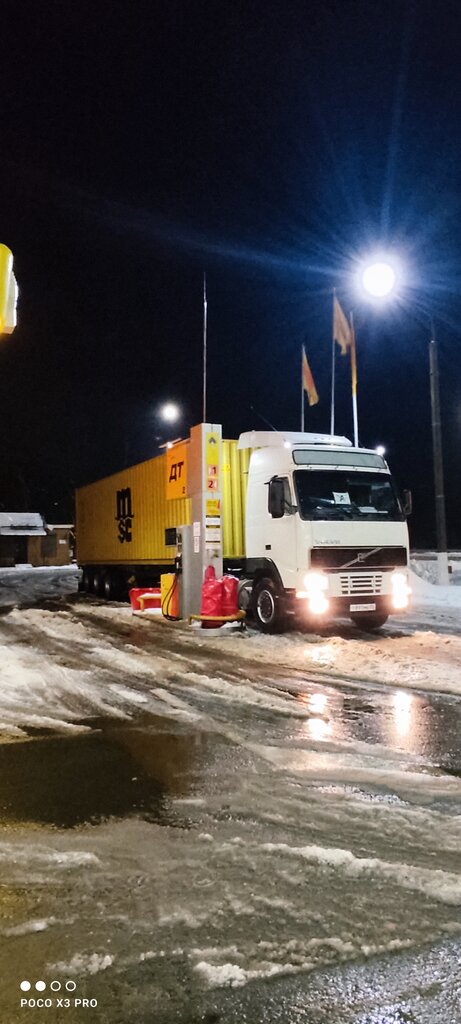 Gas station Rosneft', Bryansk Oblast, photo