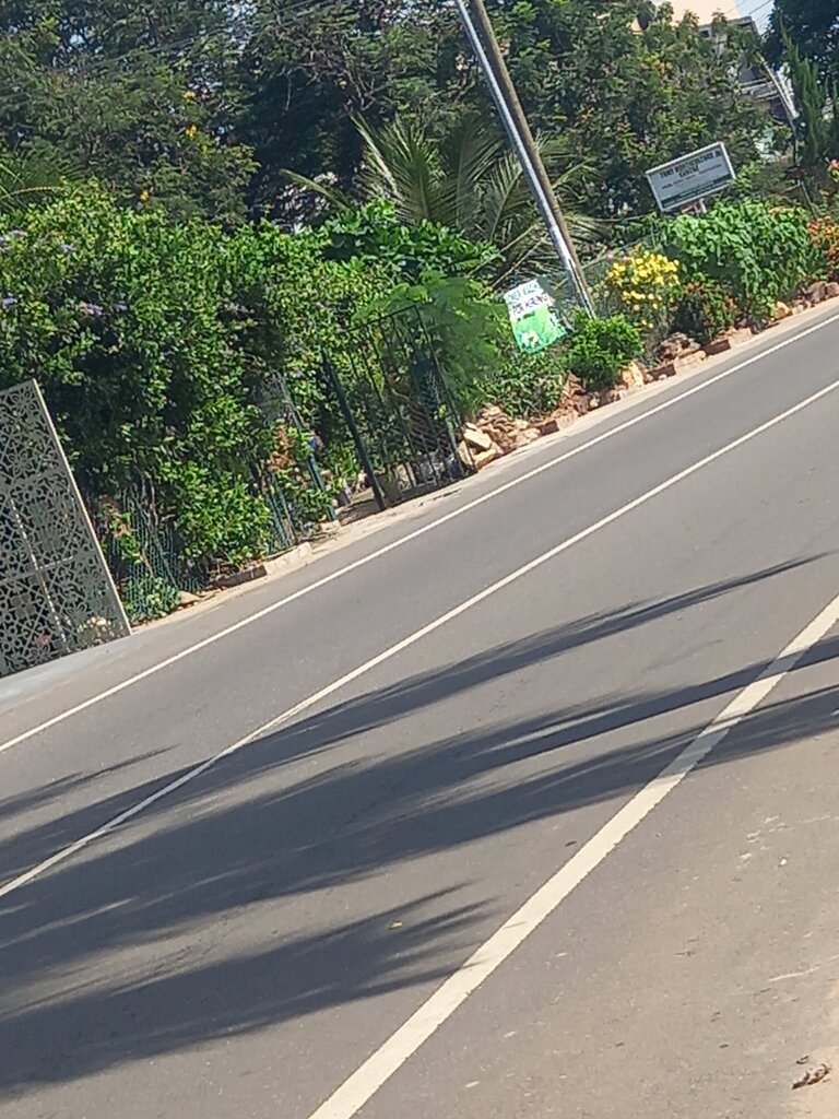 Garden center Tony Horticultural Centre, Earth, photo