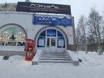 Зимний сад (Поморская ул., 2, Архангельск), ресторан в Архангельске