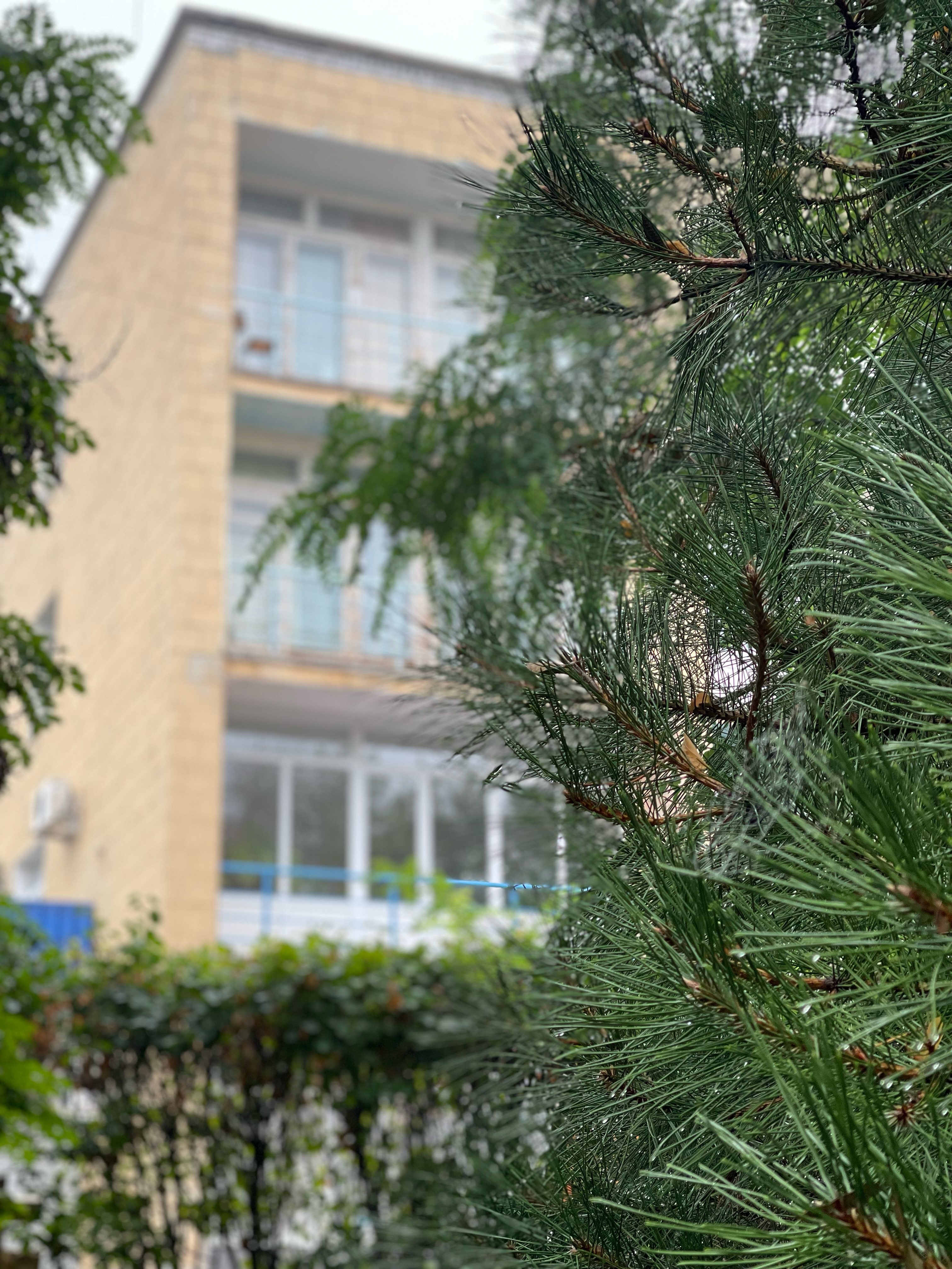 Фото Волжская Здравница