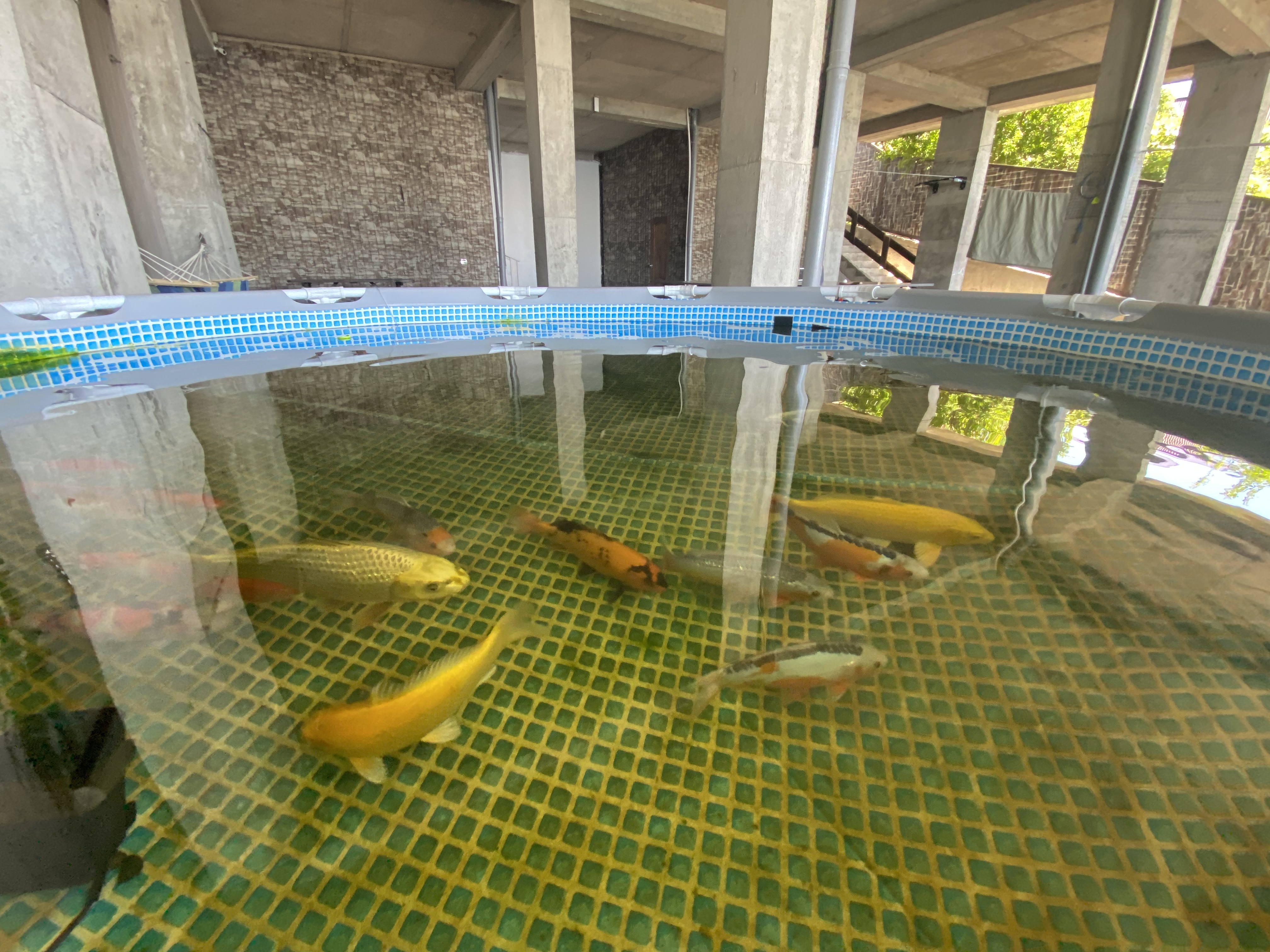 Фото Айсберг