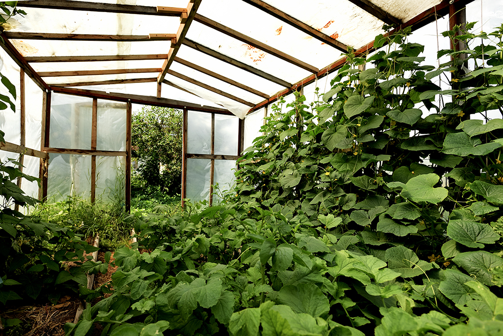 Фото Живое Окунево