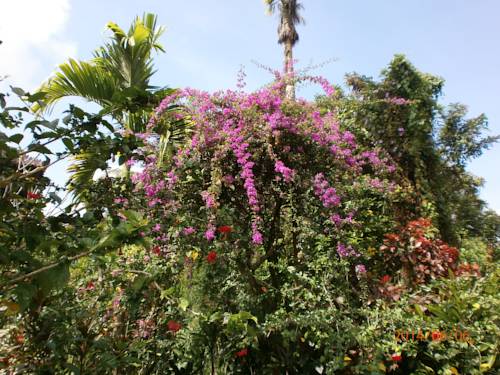 Фото Ubud Inn Cottages