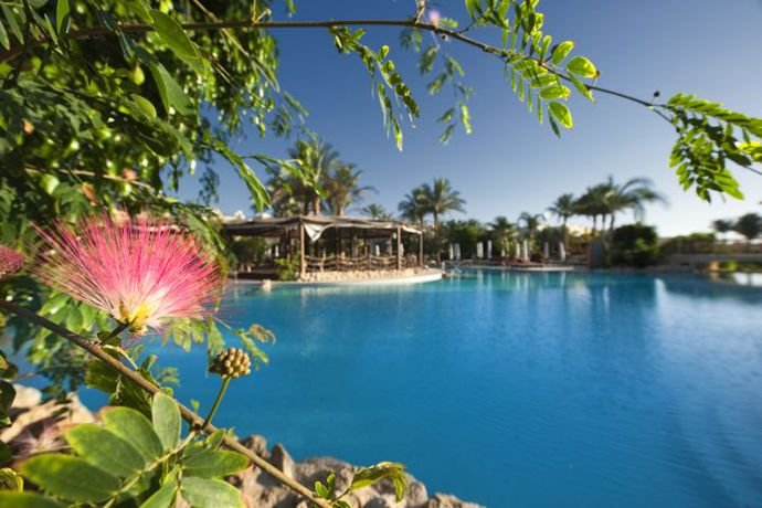 Фото The Grand Hotel Sharm El Sheikh