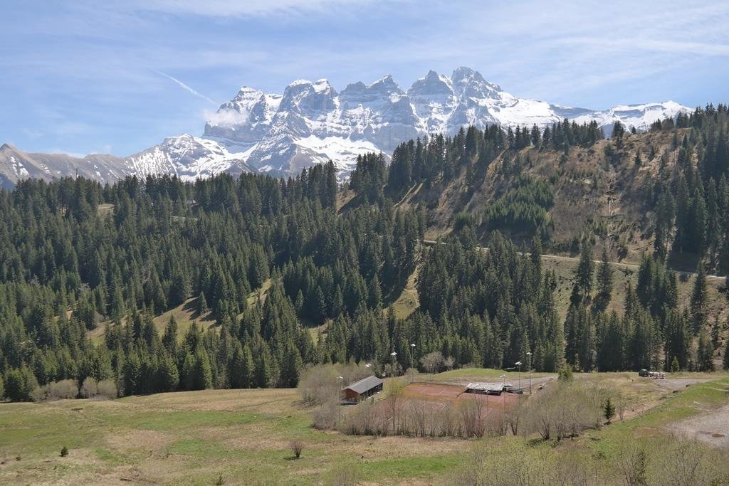 Фото Appartement Moilles 15