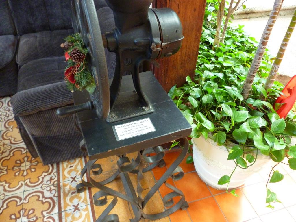 Фото Hotel Don Carlos