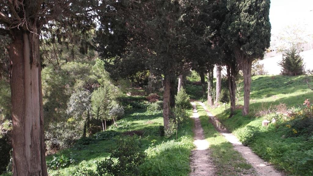 Фото Belvedere Zia Terina