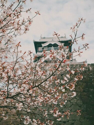 Внешний вид отеля Comfort Hotel Kokura в Китакюсю, фото 4