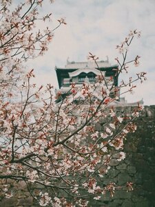 Гостиница Comfort Hotel Kokura