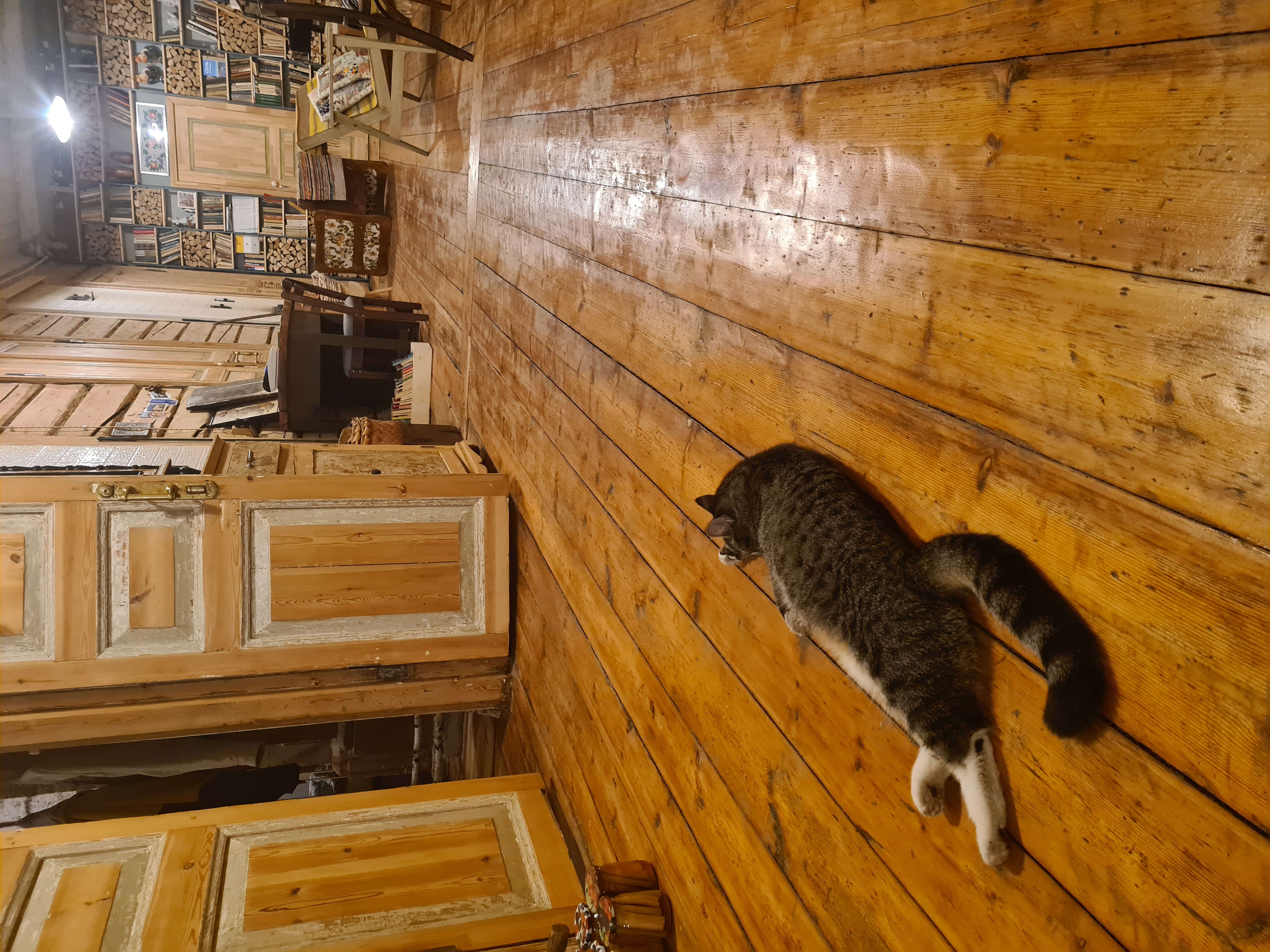 Фото Сольвычегодская усадьба