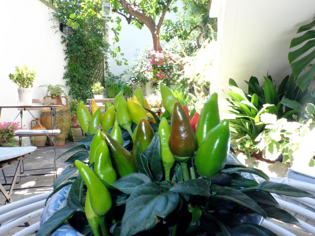 Фото B&b Umberto I