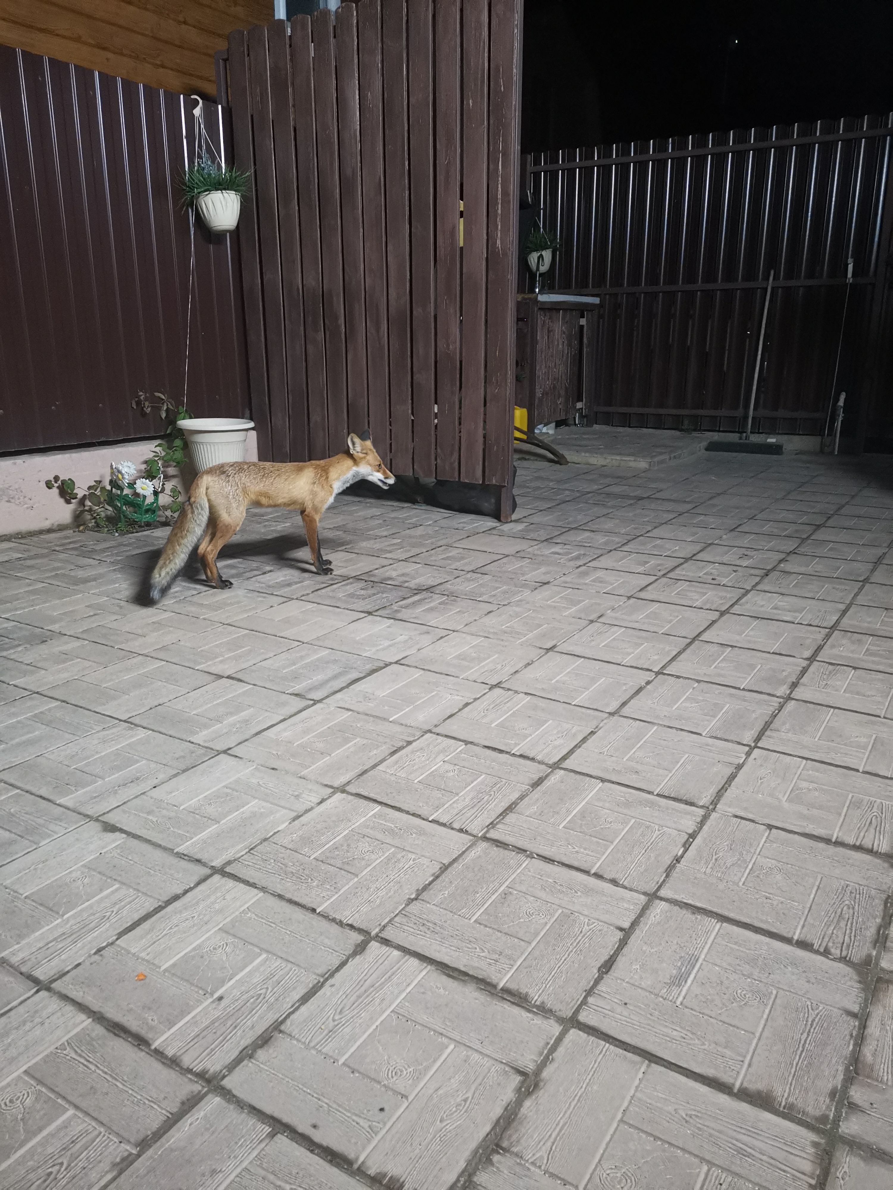 Фото Азов Релакс