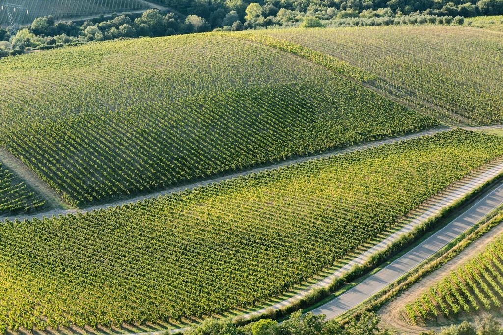 Фото Le Scuole - ColleMassari Hospitality