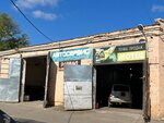 Ирбис (Nikolaya Ostrovskogo Street, 127), car service, auto repair