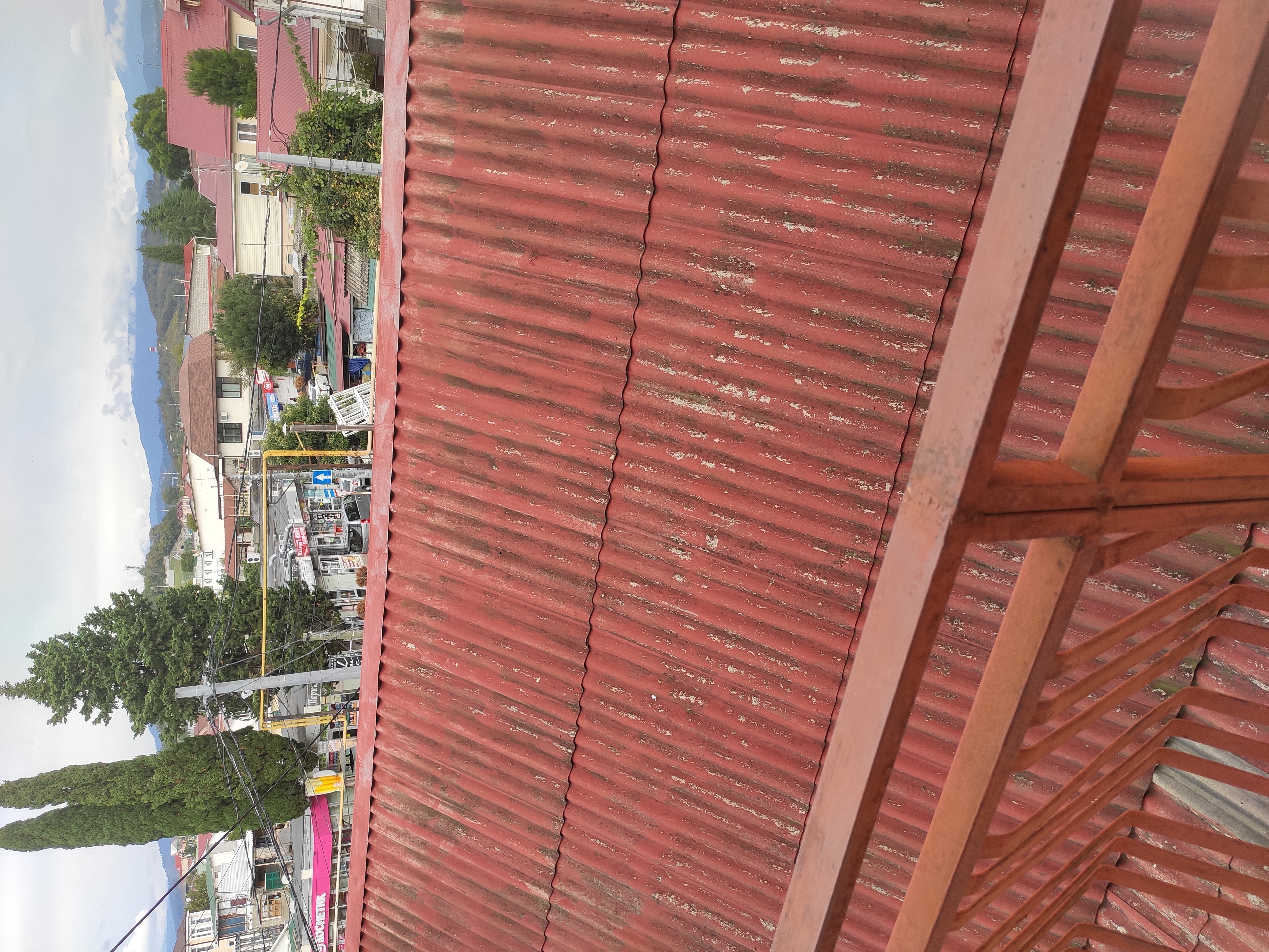 Фото Розали