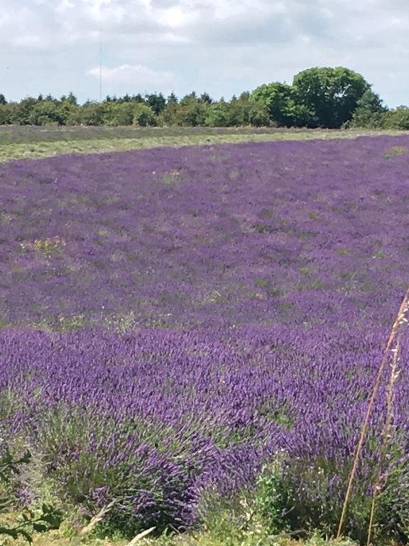 Фото No. 10 Broadway