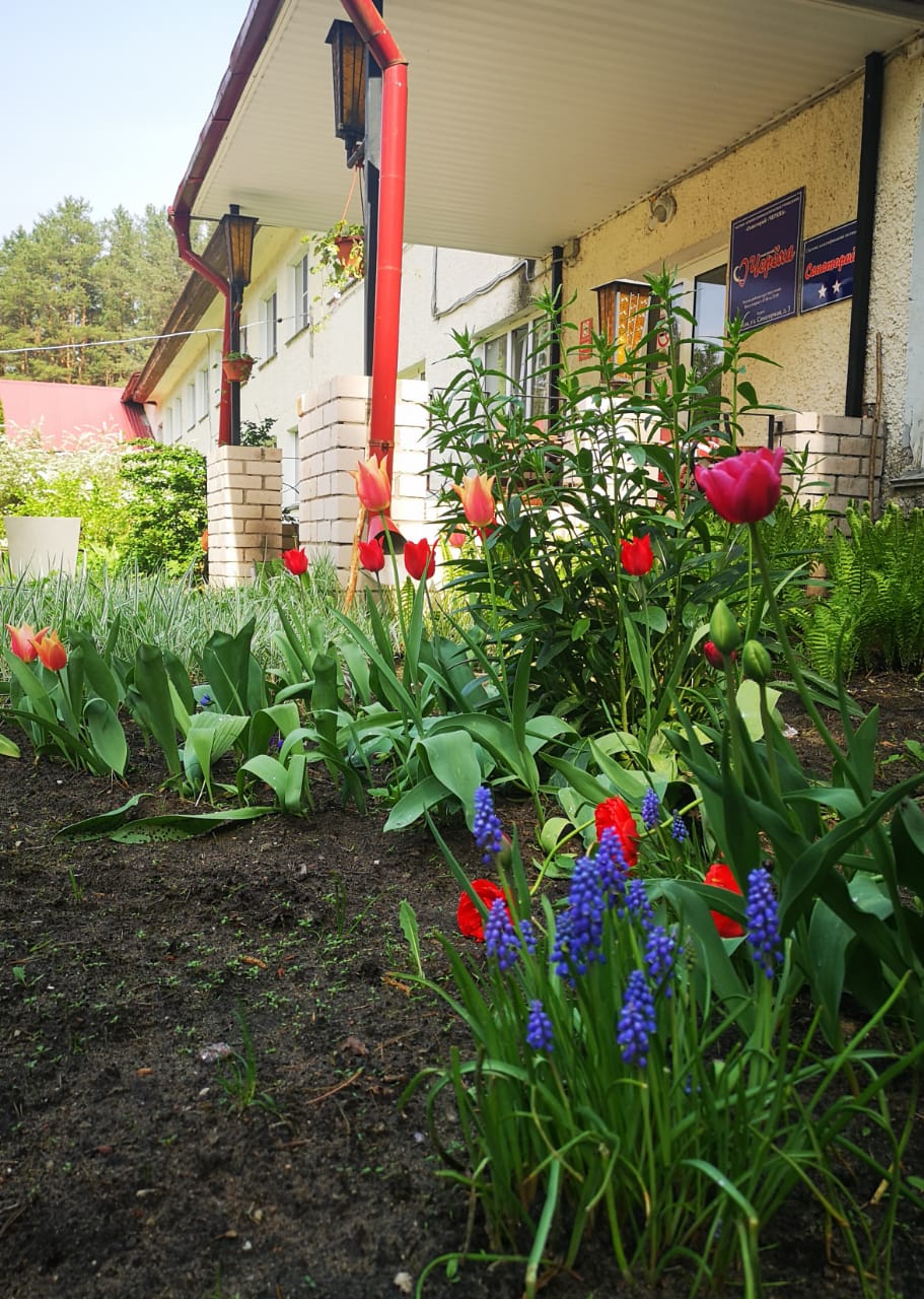 Фото Череха