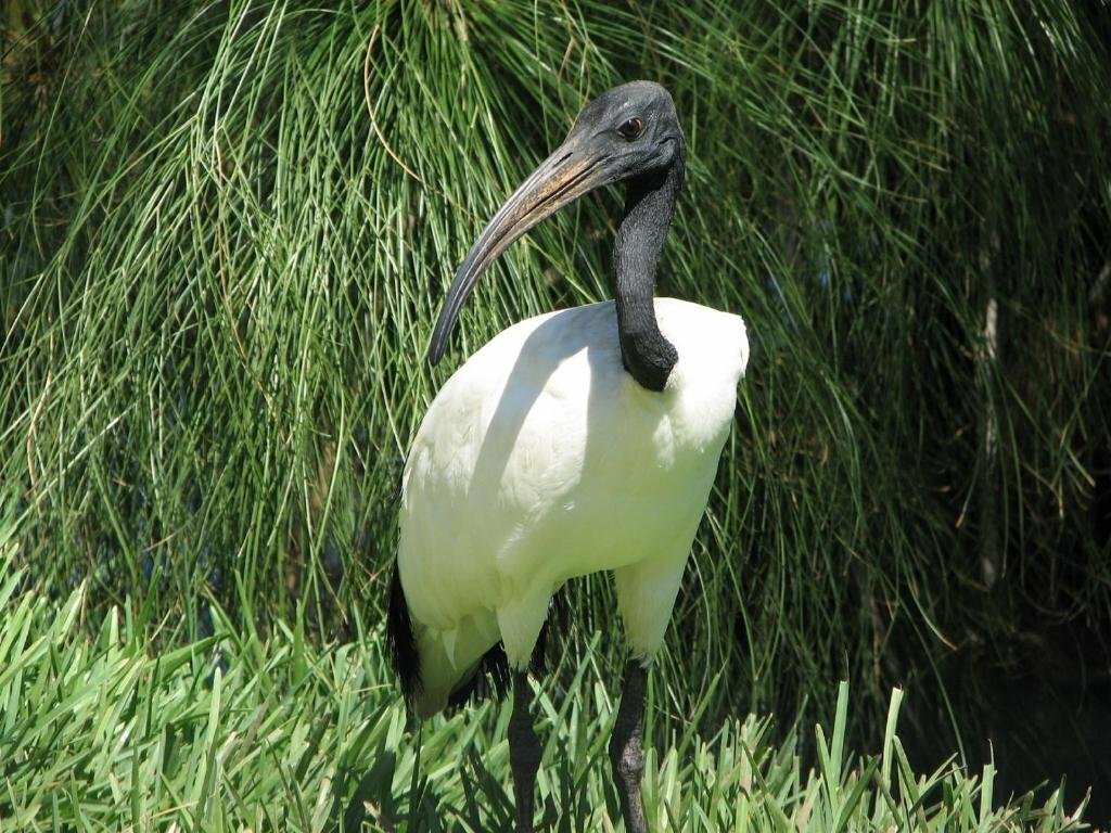 Hotel Bright Island, Earth, photo