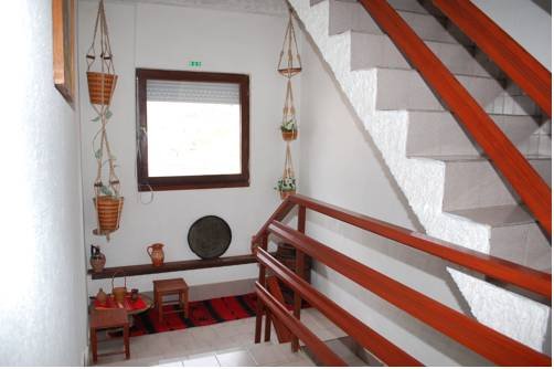 Фото Villa Flora