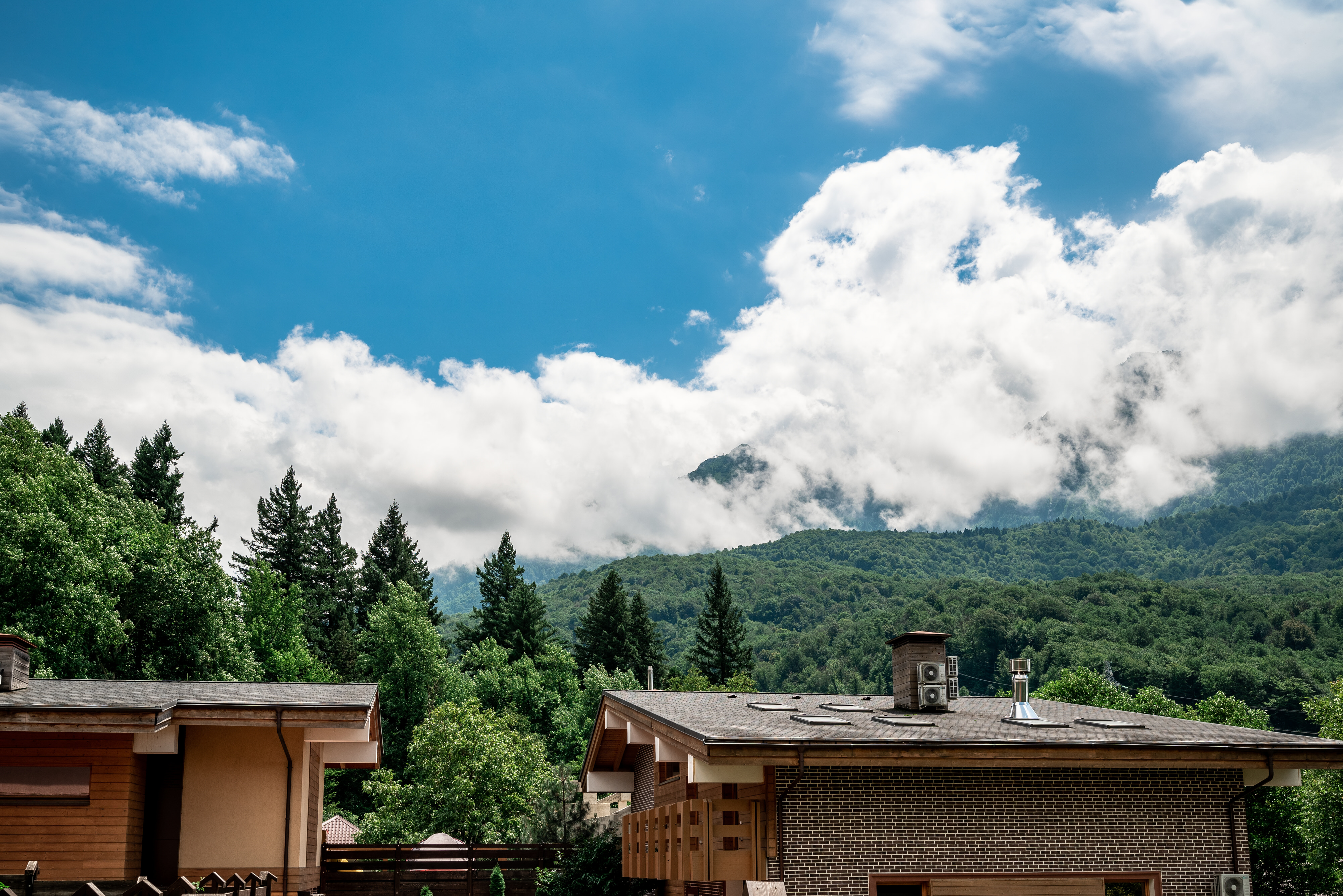 Фото Вальс цветов