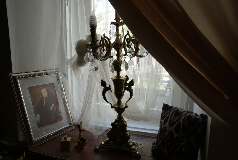 Фото Сверчков 8