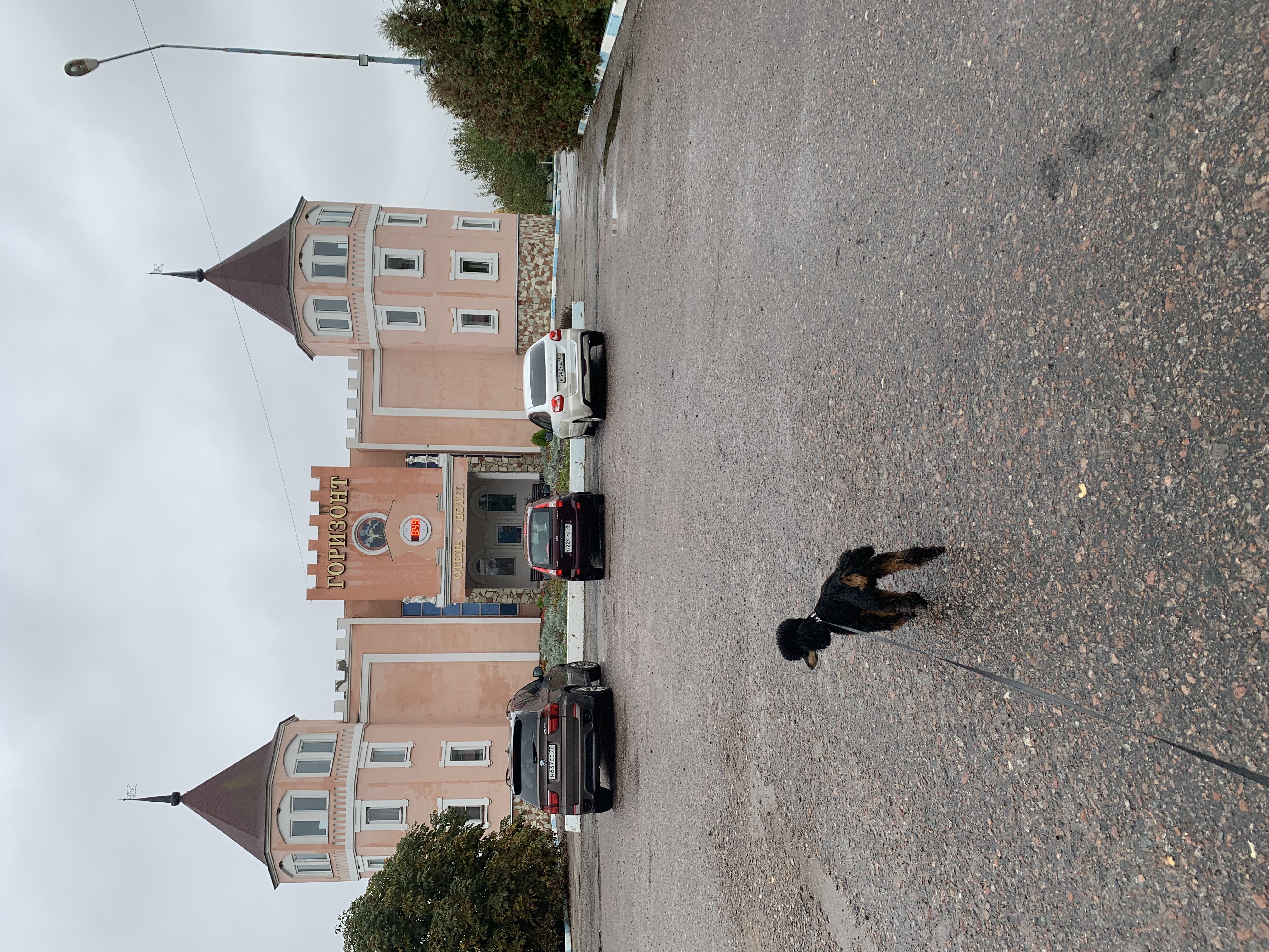 Фото Горизонт