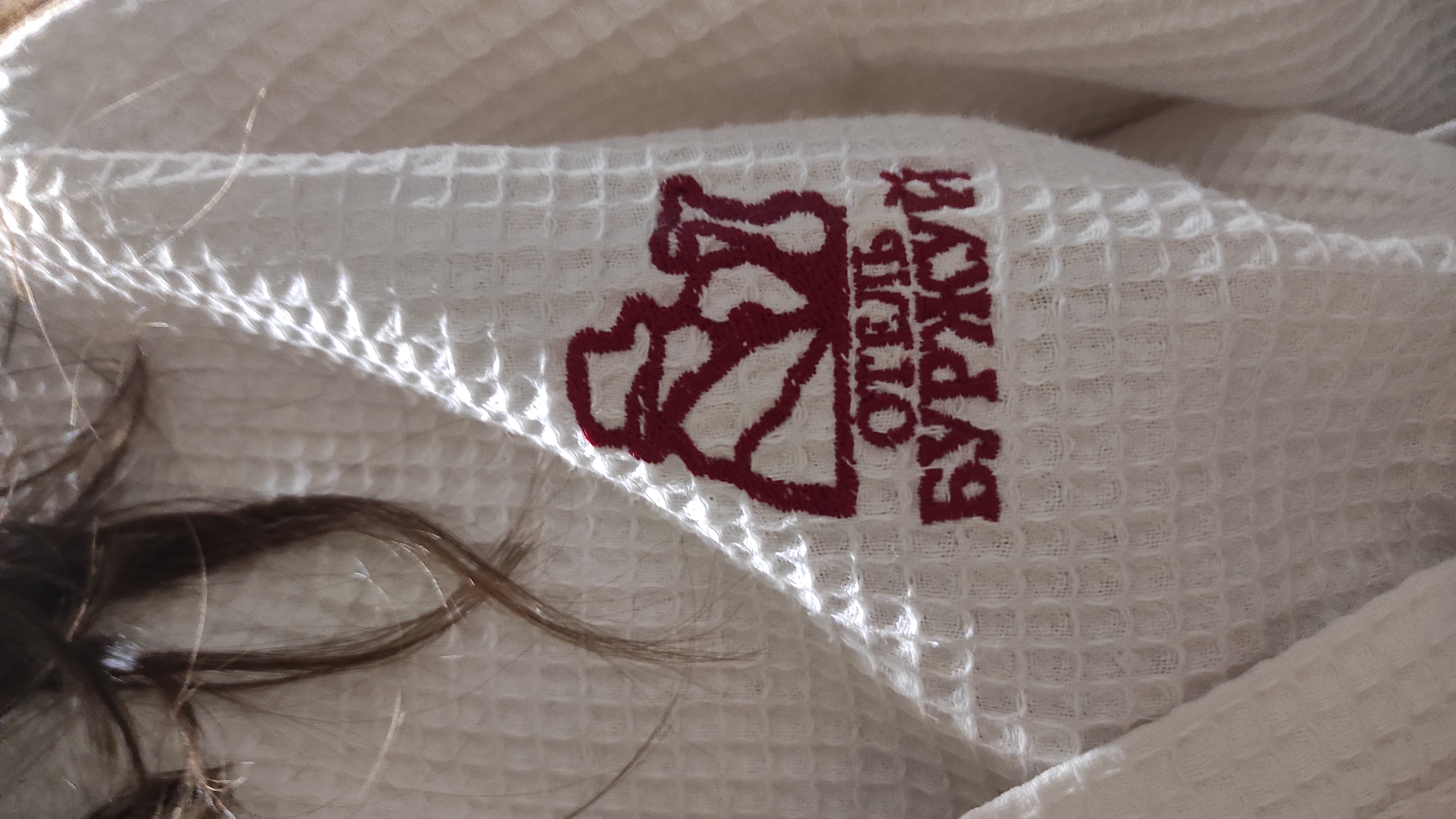 Фото Буржуй