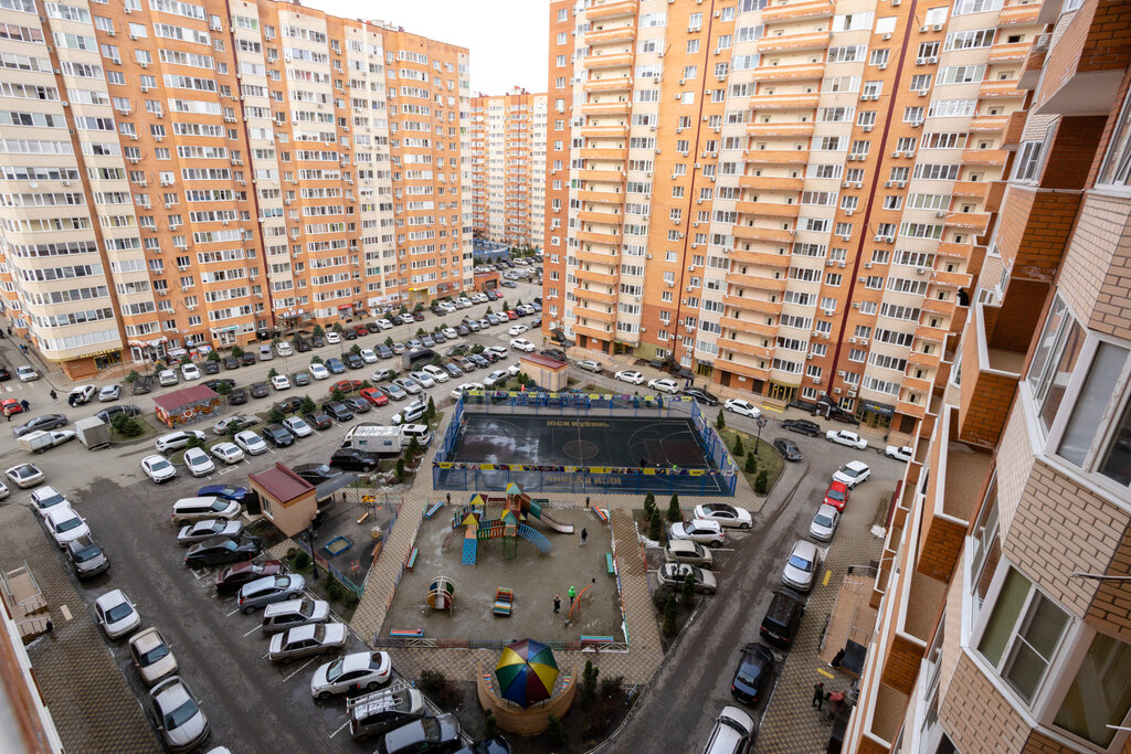 Подсолнух восточно кругликовская ул 32 фото