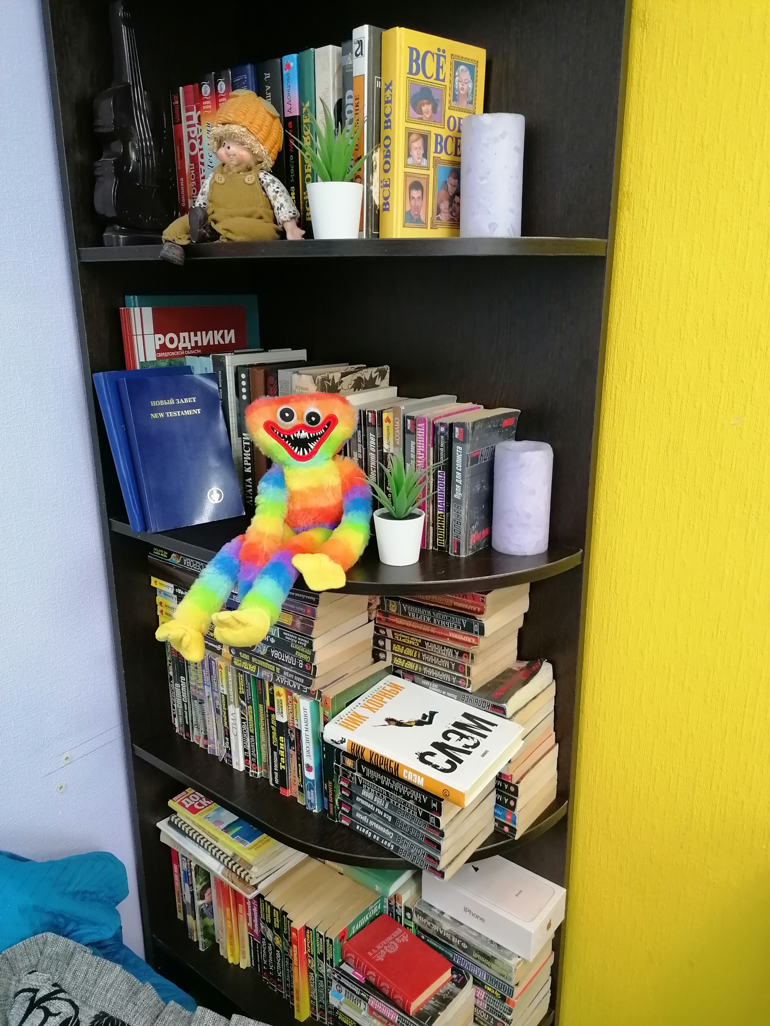 Фото Радуга