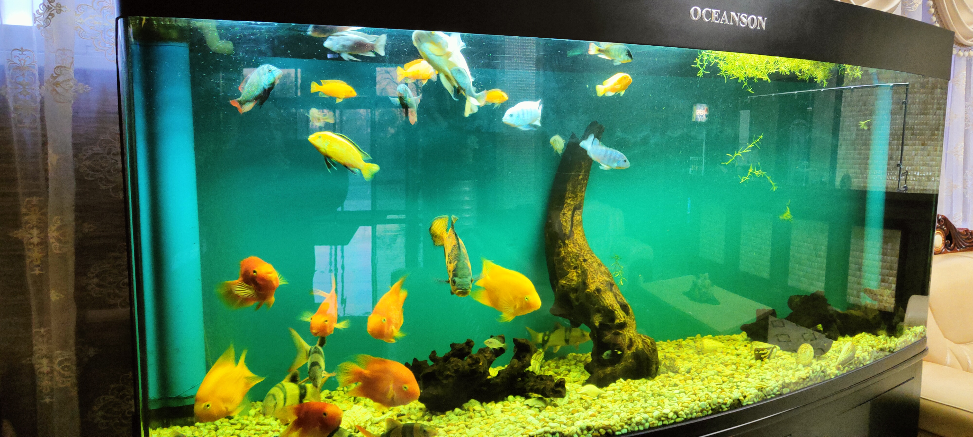 Фото Виктория