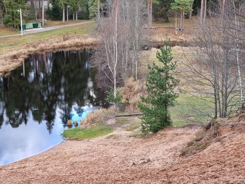 Скауттық порно