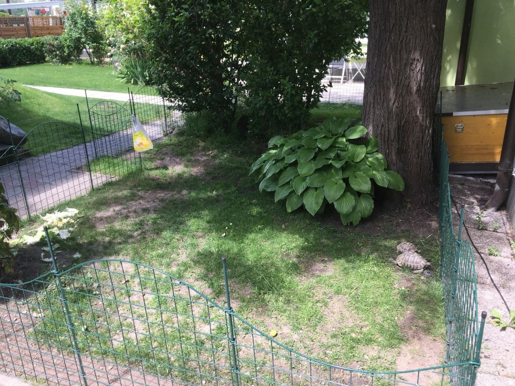 Фото Ajo Apartments Danube