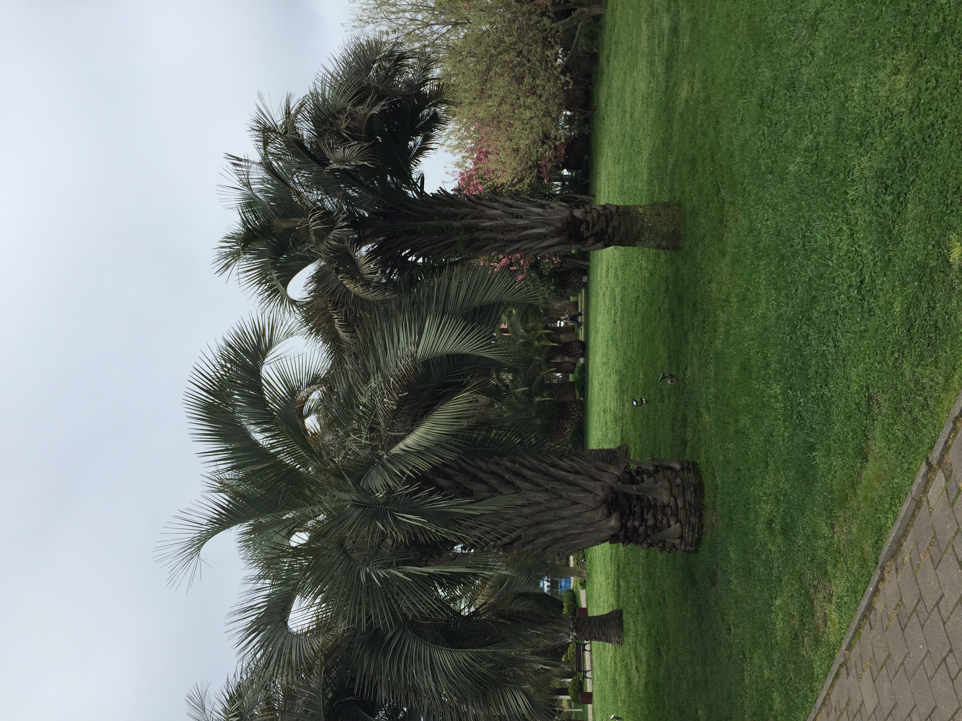 Фото Marina Yacht by Stellar Hotels