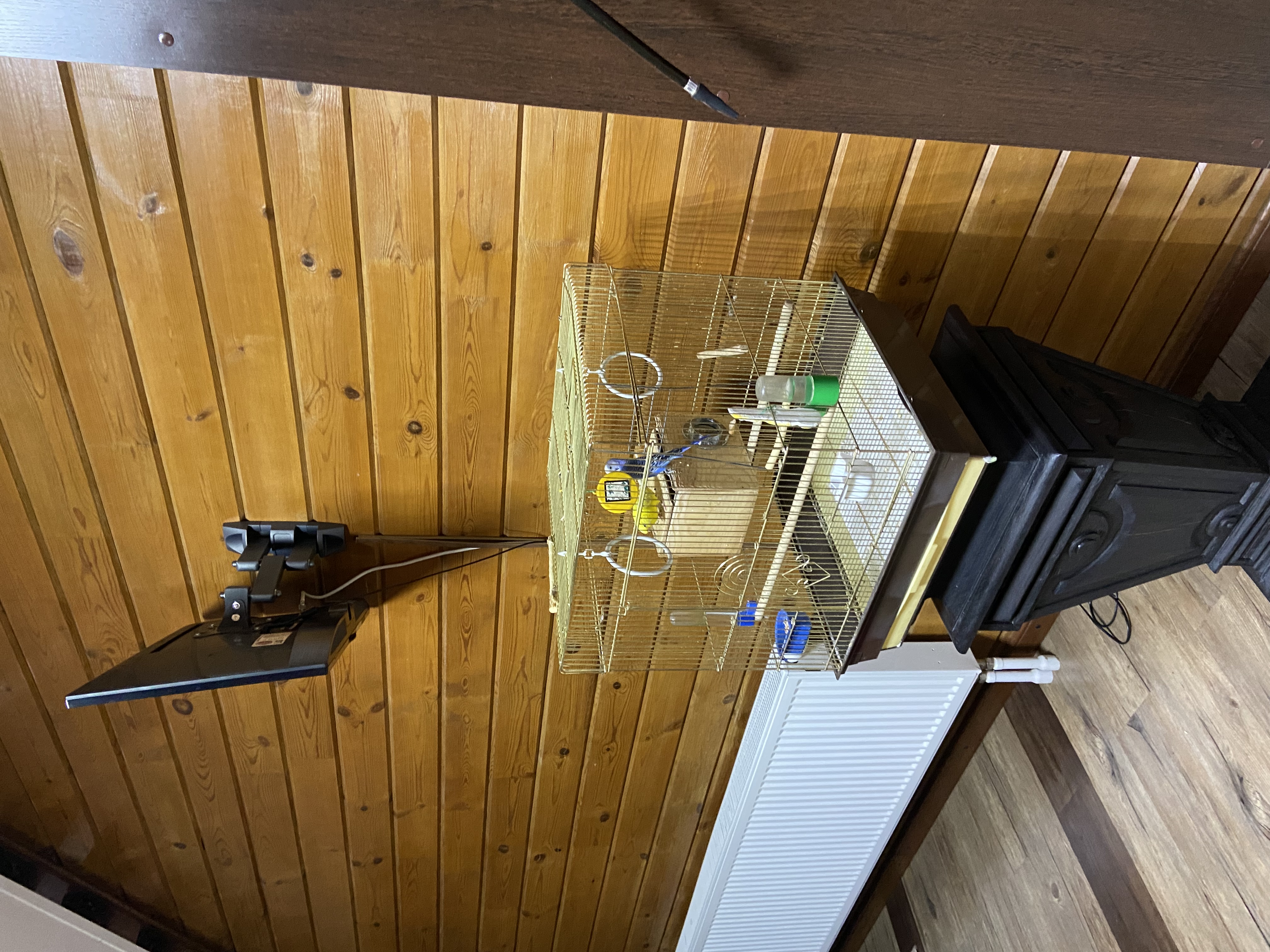 Фото Времена года