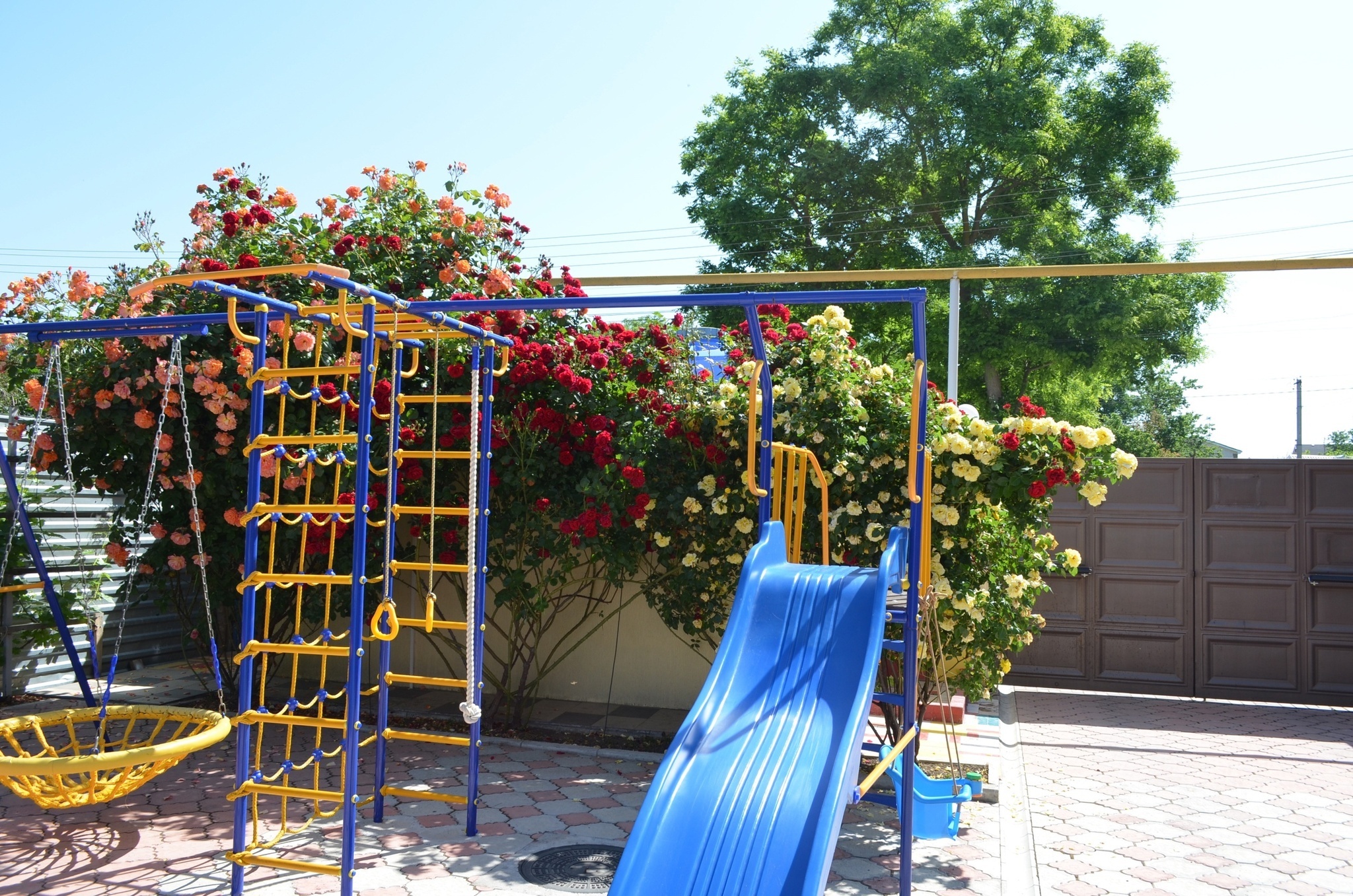 Фото Миру Мир