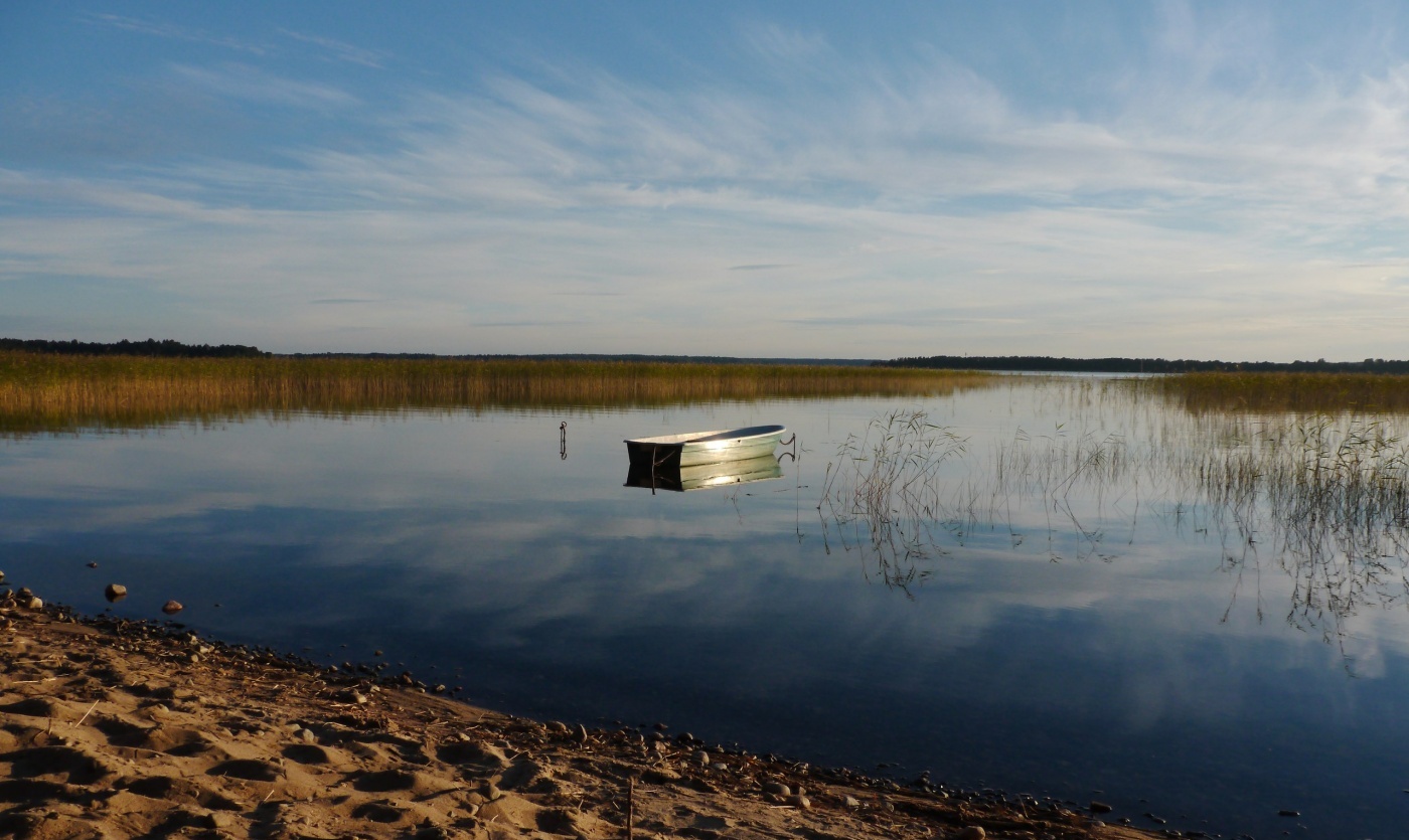 Фото Розовая дача