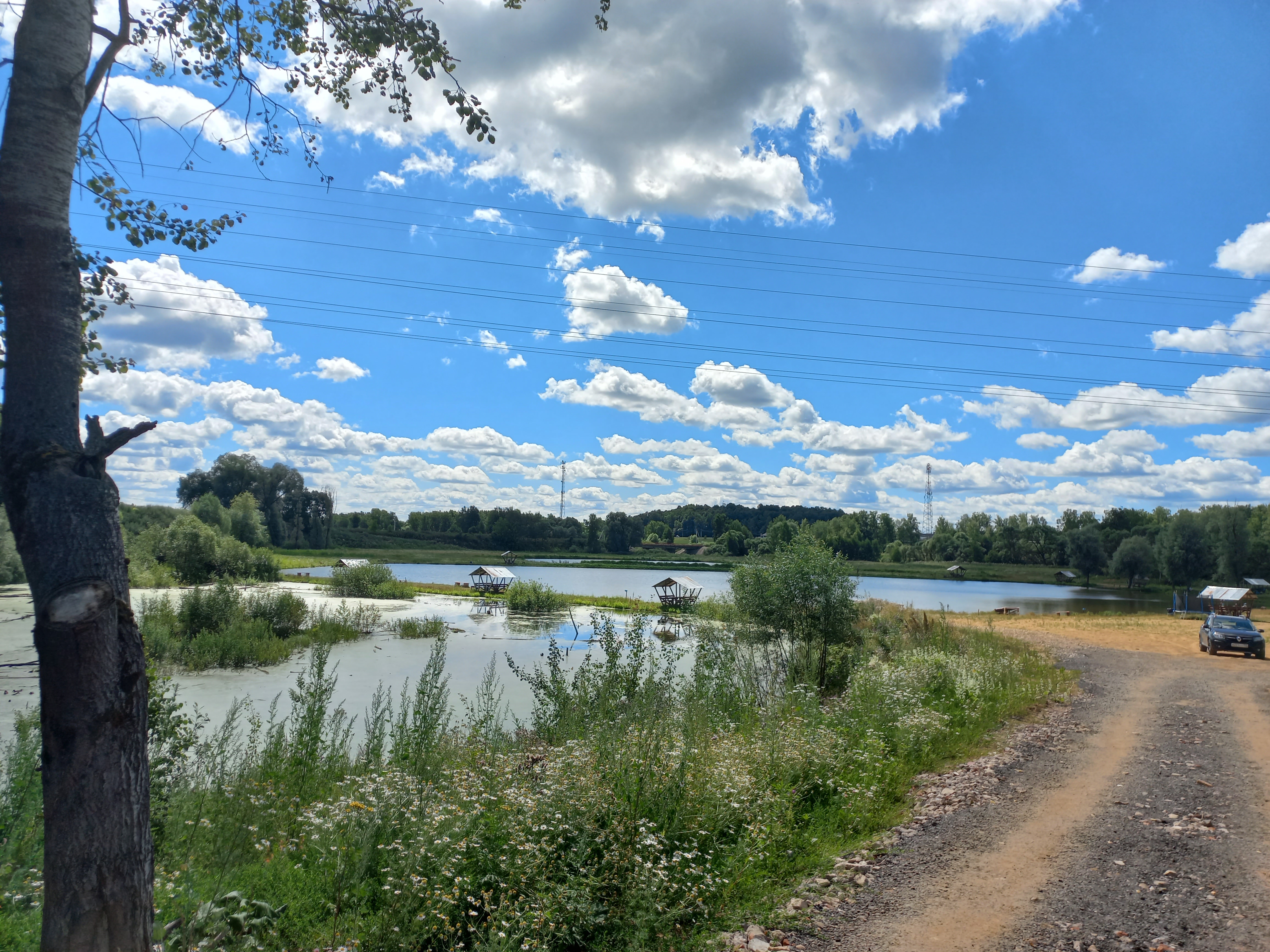 Фото Место клёва