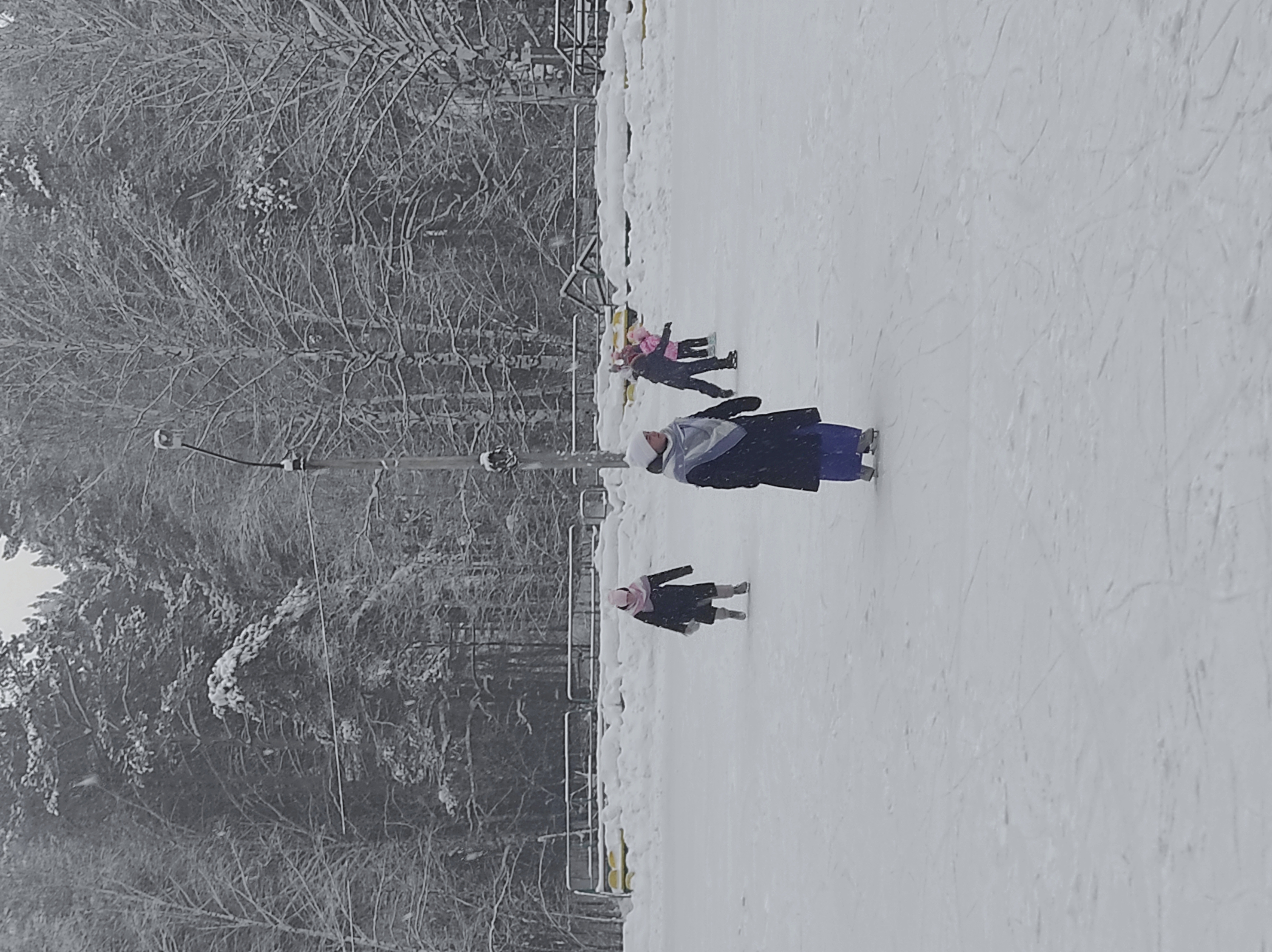 Фото Лесная сказка