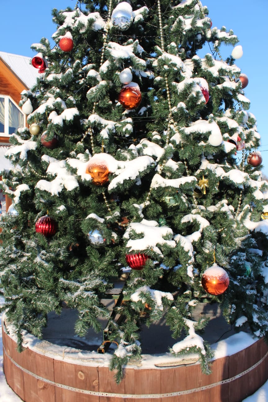 Фото Некрасовская дача