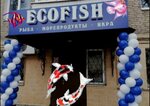 Ecofish (ulitsa Lenina, 14), fish and seafood